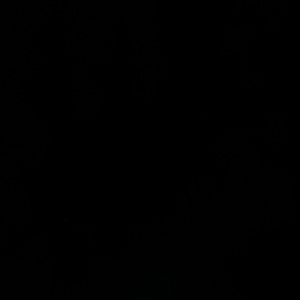 Meet your Posher, Mariah